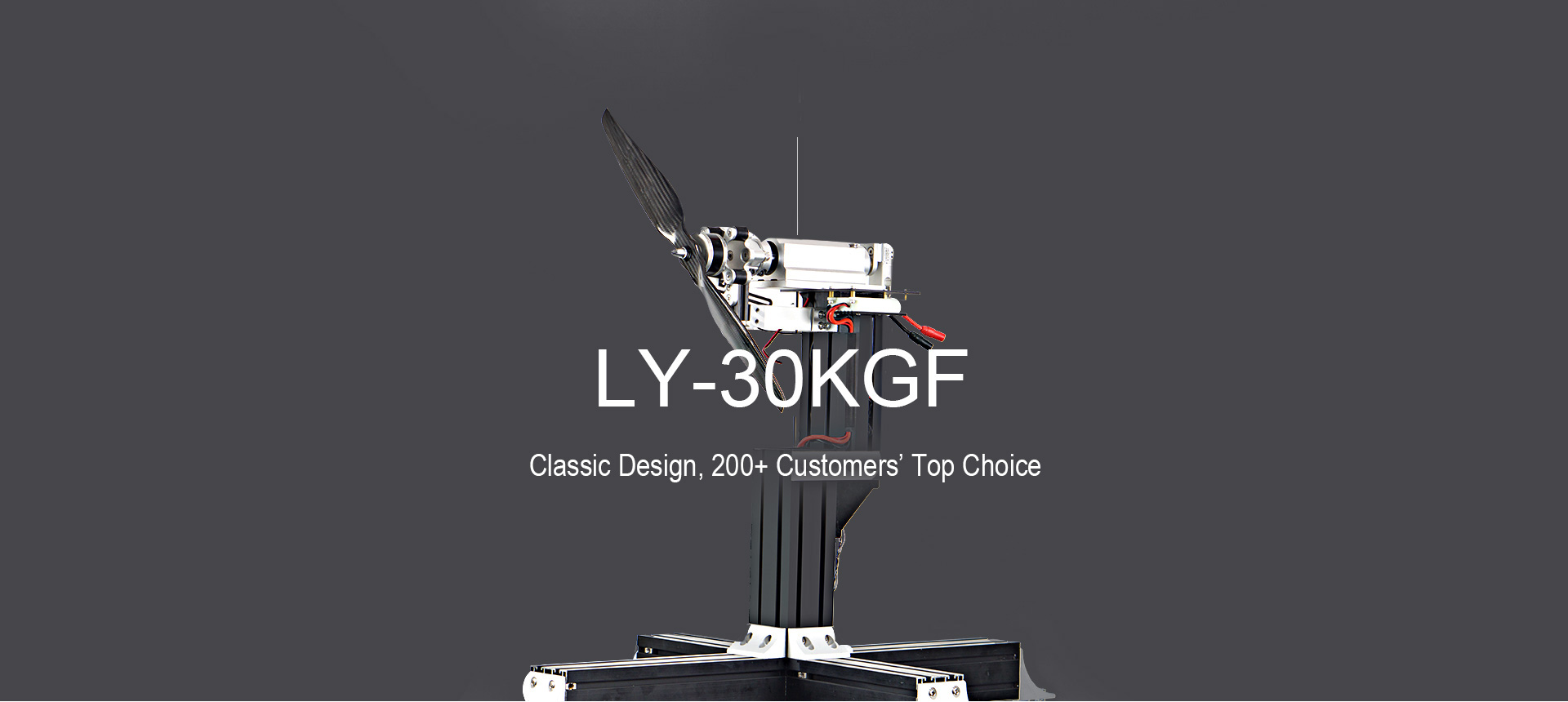 LY-30KGF Motor Test Stand