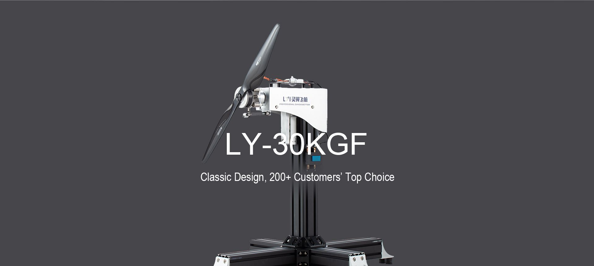 LY-30KGF Motor Test Stand