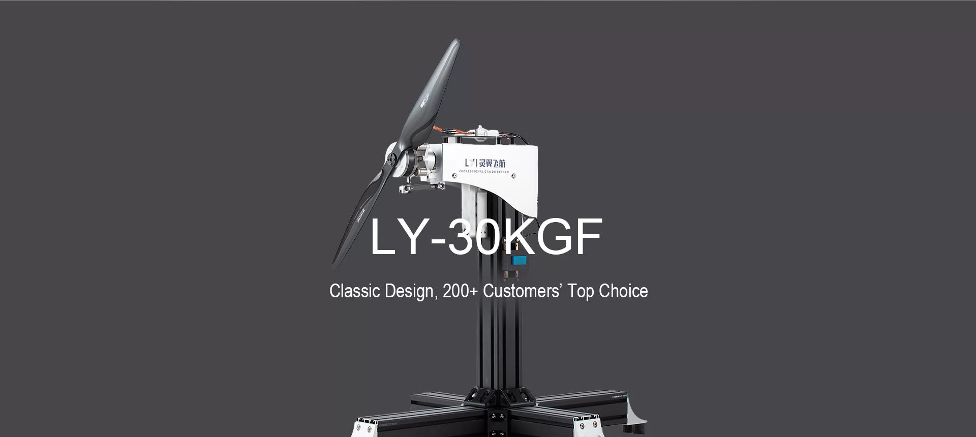LY-30KGF Motor Test Stand