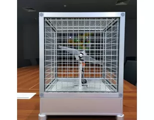 drone testing drone testing