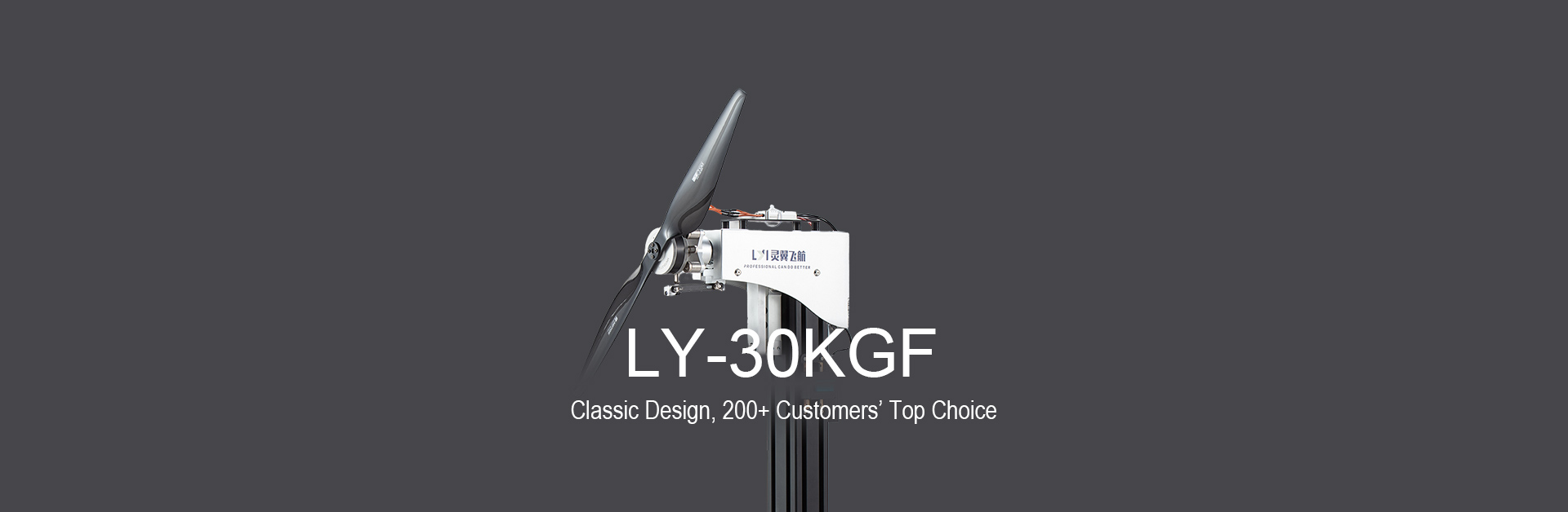 LY-30KGF Thrust Stand
