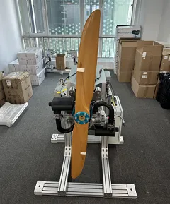 Matching Test of DLE200 & WF-EN-55 Engines Successfully Completed on Professional Test Bench